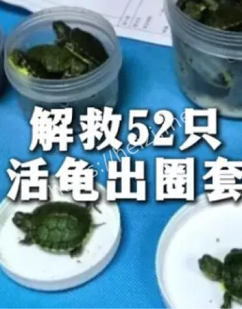 广州白云机场海关